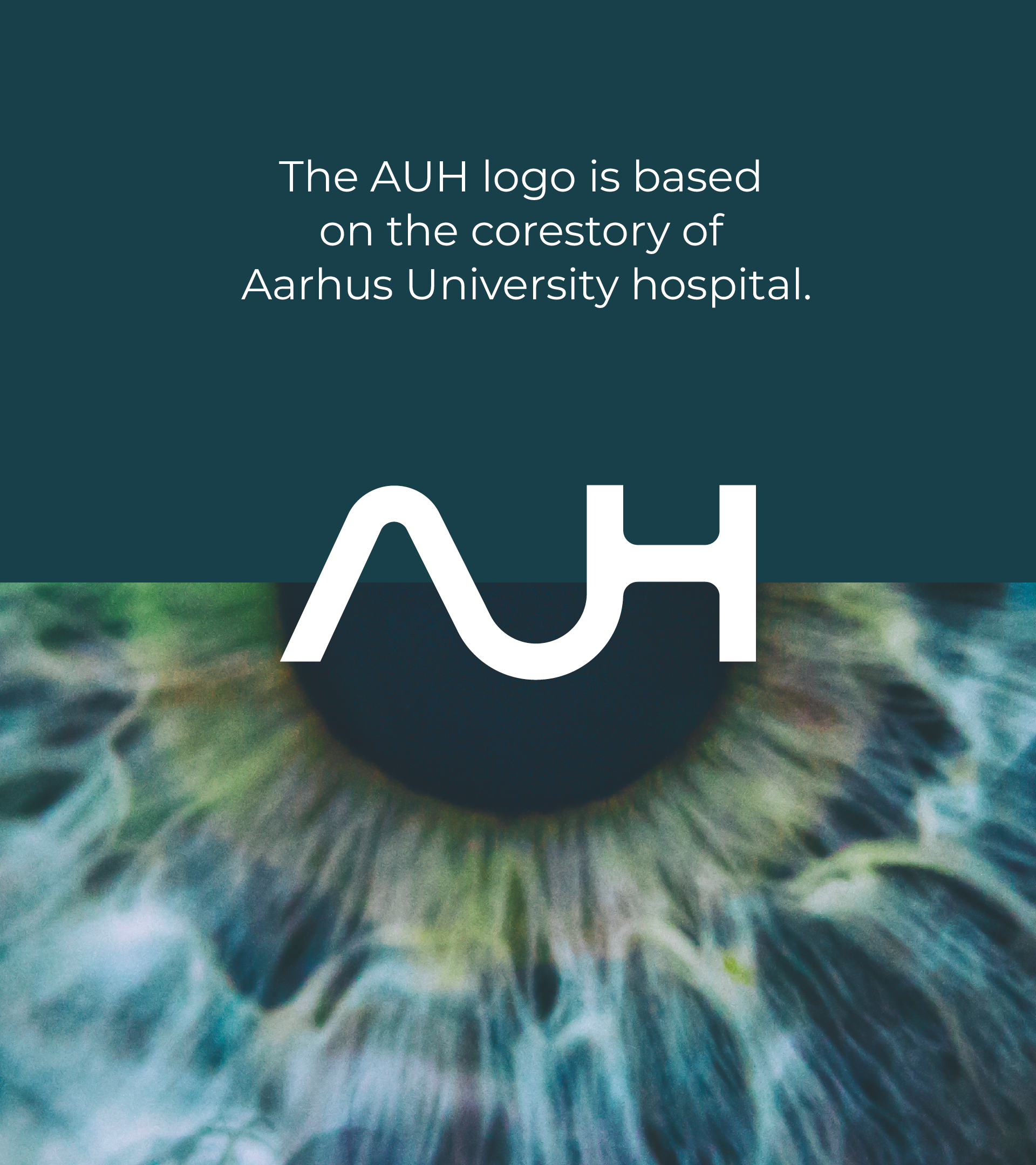 AUH_logo_9602